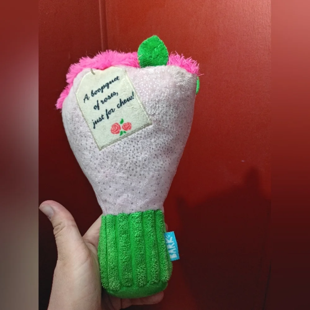 Pink and Green Plush Dog Toy
